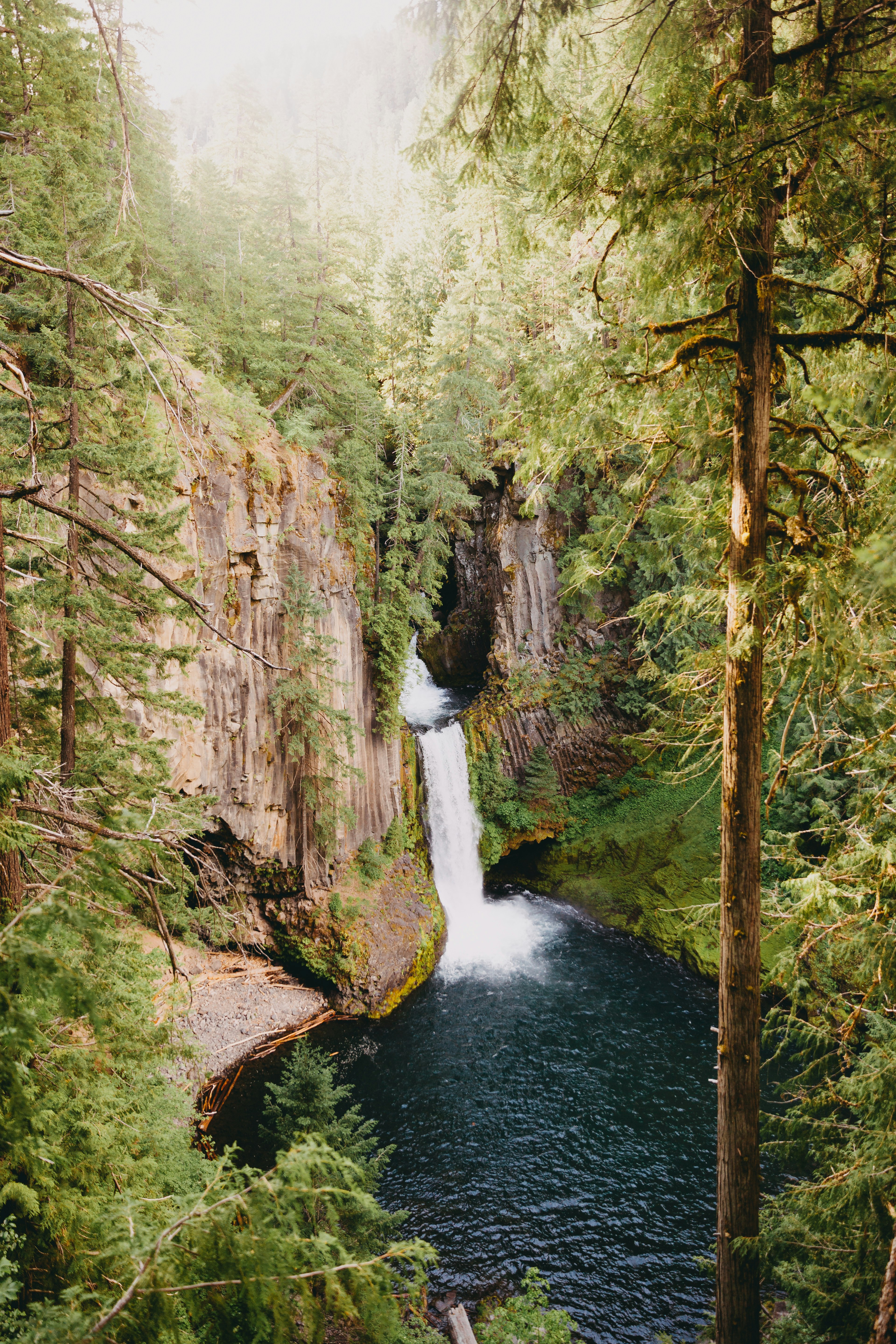 waterfalls in the middle of the forest